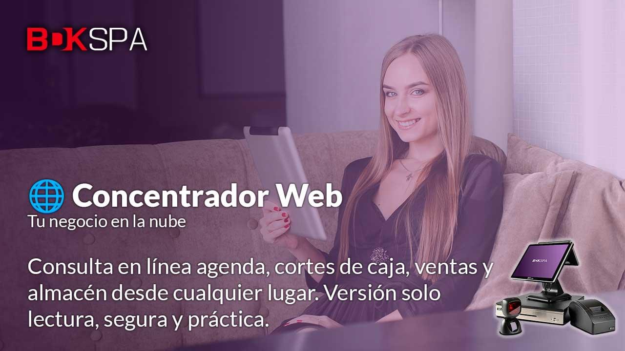 Concentrador Web